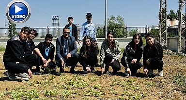 Öğrenciler kendi sebzelerini yetiştiriyor