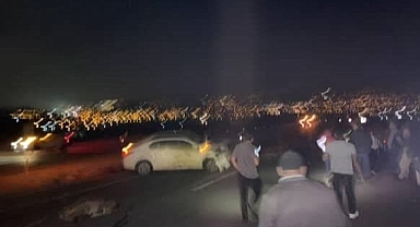 Otomobil koyun sürüsüne daldı!