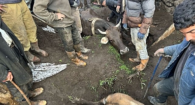 Sağanak nedeniyle ahırın çatısı çöktü
