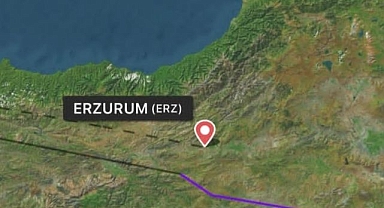Singapur-İstanbul uçağı Erzurum'a zorunlu iniş yaptı