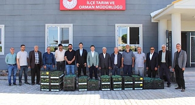 Üreticilere sebze fidesi dağıtıldı
