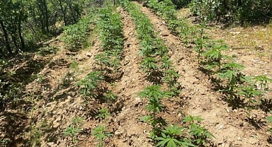 Uyuşturucu ticaretine geçit yok