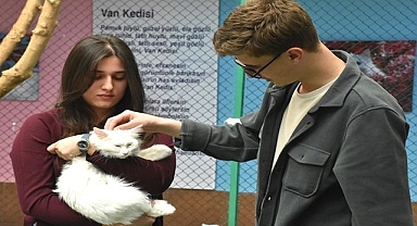 Van kedisinin tüyü öğrencilere ilham oldu