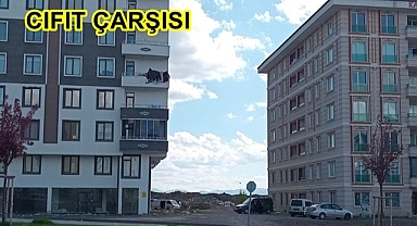 Yıldızkent’in gözü aydın