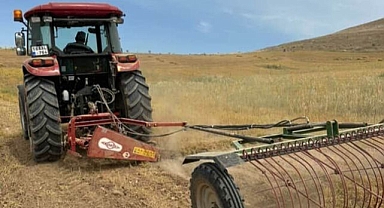 Yılın ilk mercimek hasadı yapıldı