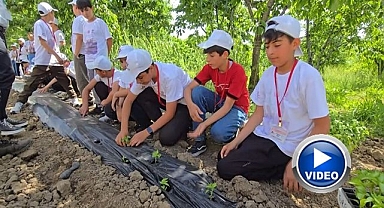 3 yıldır kabul edilen tek proje