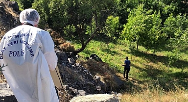 Ağaca asılı halde erkek cesedi bulundu