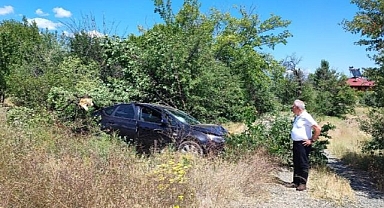 Ağaçlara çarparak durabildi!