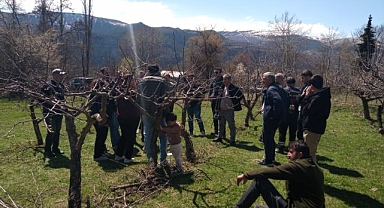 Ağaçları budama ve aşılama kursu