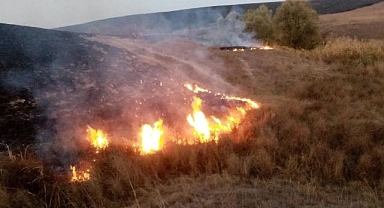 Anız yangınlarına dikkat! Toprağa ve canlıya da zarar veriyor