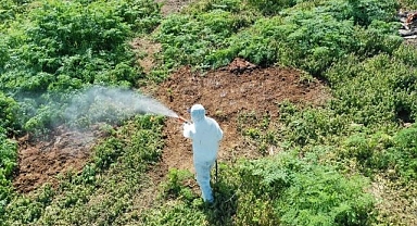 Aşırı sıcaklarda çıkan haşerelere karşı uzmanı uyardı