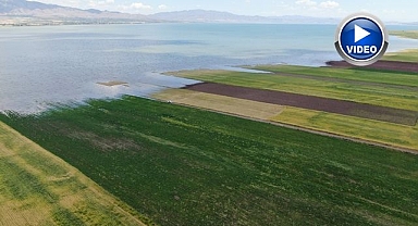 Baraj yükselince tarlalar sular altında kaldı