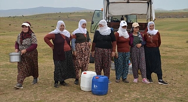 Berivanların süt sağımı yolculuğu