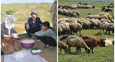 Besicilerin yayla mesaisi başladı