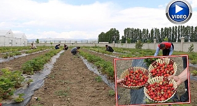 Bölge tarımında yeni dönem!