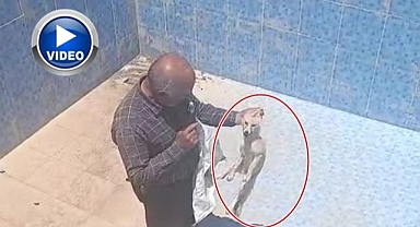 Boş yüzme havuzuna düştü! Yardımına vatandaşlar koştu