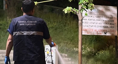 Büyükşehir kenelere savaş açtı