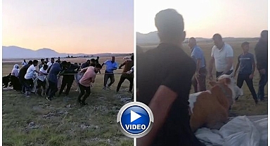 Çamura saplanan ineğin imdadına köylüler koştu