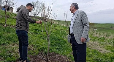 Çiftçilere budama ve aşılama eğitimi verildi
