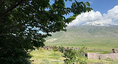 Çorak arazi ağaçlarla yeşeriyor