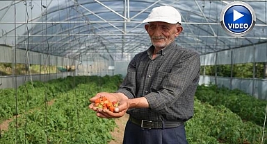 Devlet desteği ile ayağa kalktı!