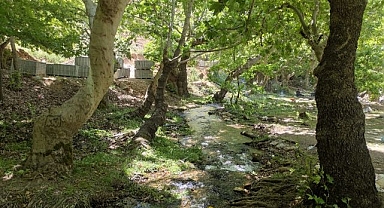 Doğa harikası vadi turizme kazandırılıyor
