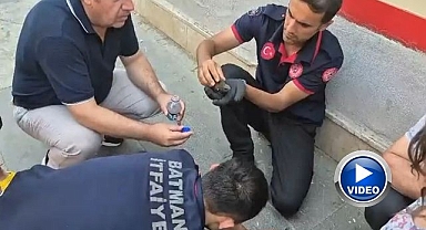 Ebabil kuşları için seferberlik