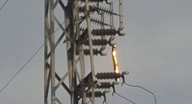 Elektrik hattında çıkan yangın korkuttu