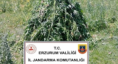 Erzurum'da uyuşturucu operasyonu