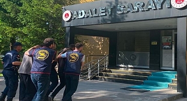 Farklı köylerden 40 arı kovanı çaldılar