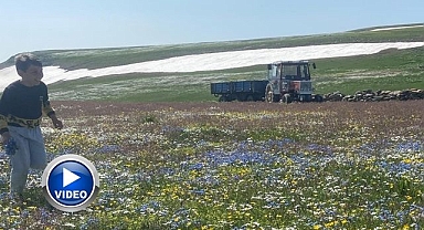 Haziran ayında iki mevsim yaşanıyor