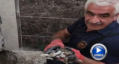 İtfaiyeden kedi kurtarma operasyonu