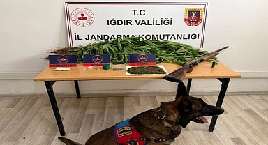 Jandarmadan uyuşturucu operasyonu