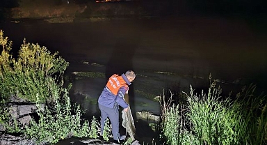 Kaçak balık avına ceza yağdı