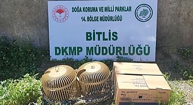 Kaçak keklik avına ceza yağdı