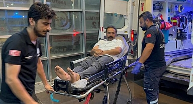 Karayolu kavşağında akrep soktu