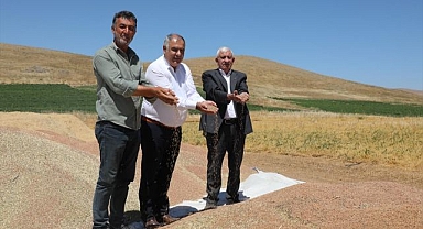 Kırmızı mercimekte 2 bin 574 ton rekolte bekleniyor