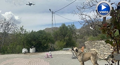 Köpeğin dron ile imtihanı