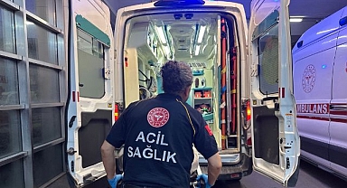 Yılan ısırığı hastanelik etti