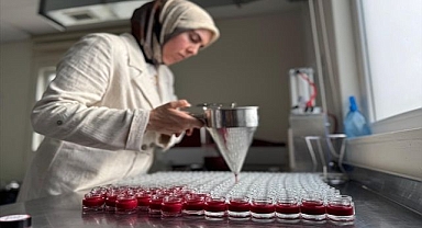 Ürünlerini yurdun dört bir yanına gönderiyor
