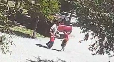 Küçük kız çocuğu köpeklerin hedefi oldu