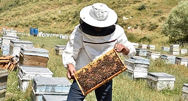 Kuraklık arıcılığı olumsuz etkiliyor