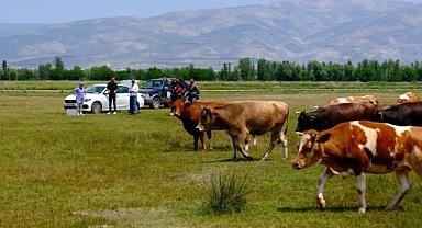 Meralarda su arama çalışmaları yapılıyor