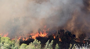 Meteorolojiden Erzurum ve çevresi için orman yangını uyarısı!