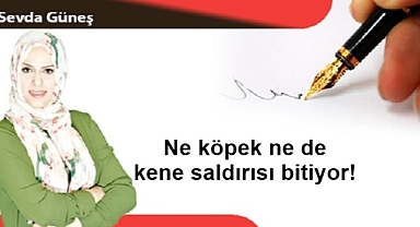 Ne köpek ne de kene saldırısı bitiyor!