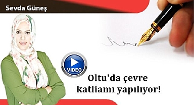 Oltu'da çevre katliamı yapılıyor!