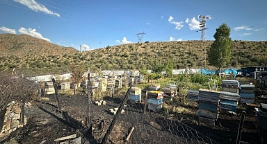 Oltu'da çıkan yangında 30 arı kovanı küle döndü