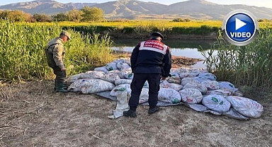 Onlarca ton kaçak avlanmış balık ele geçirildi
