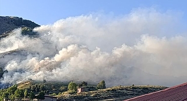 Ormanlık alanda yangın!