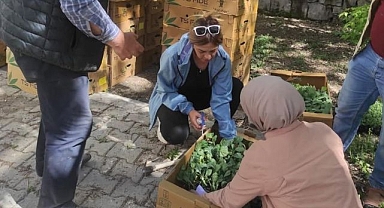 Sebze fideleri üreticilerle buluştu